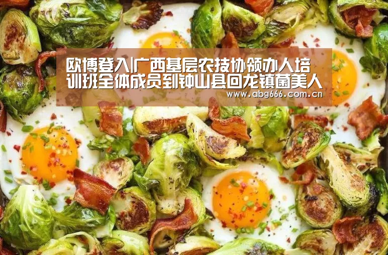 abg欧博官网
