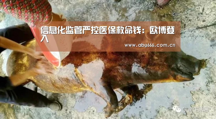 信息化监管严控医保救命钱:欧博登入(图1) 欧博ABG